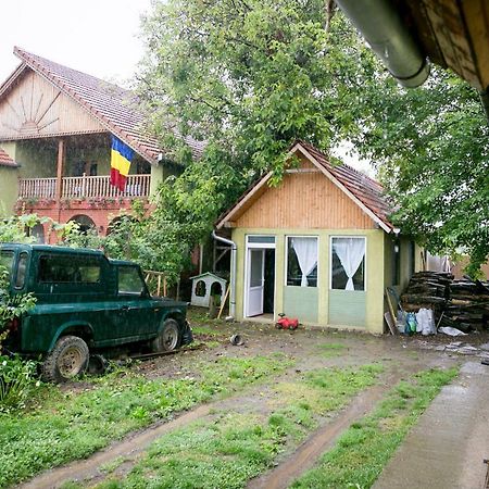 Pensiune Muzeu Traditional Poveste In Transilvania シギショアラ エクステリア 写真