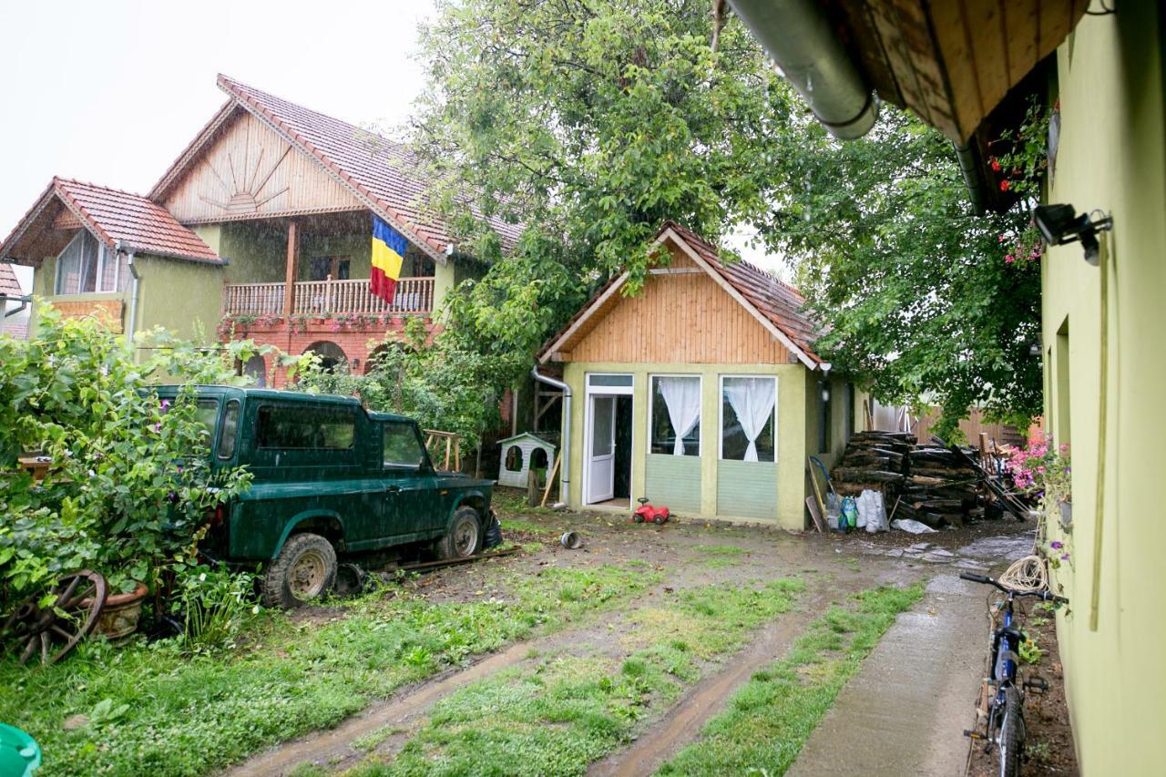 Pensiune Muzeu Traditional Poveste In Transilvania シギショアラ エクステリア 写真